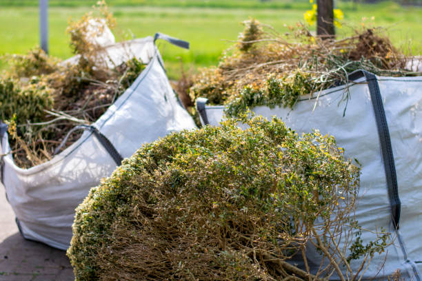 Recycling Services for Junk in Surprise, AZ